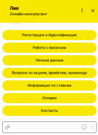 Поддержка букмекера BetBoom: форма обращения и быстрый разбор проблемы